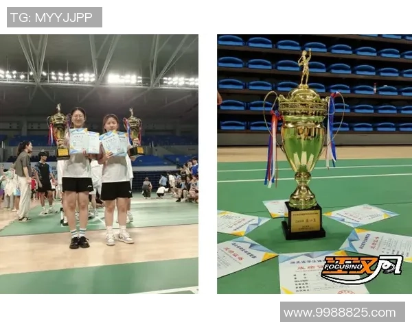 深入探讨上海羽毛球队战术表现的数据分析与战略优化研究