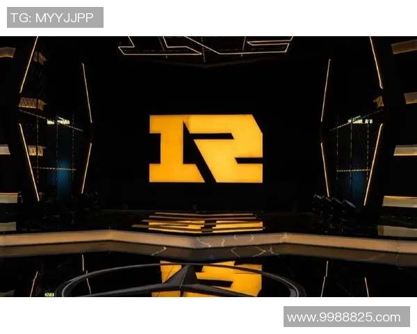 热议英雄联盟RNG战队实力革新背后的秘密与未来展望